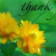 ヒメ日記 2025/04/16 23:30 投稿 原田麗子 五十路マダム　広島店