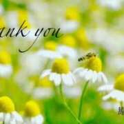 ヒメ日記 2025/04/18 21:30 投稿 原田麗子 五十路マダム　広島店