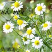 ヒメ日記 2025/04/18 22:30 投稿 原田麗子 五十路マダム　広島店