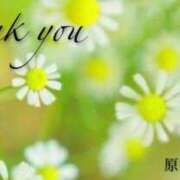 ヒメ日記 2025/04/21 13:36 投稿 原田麗子 五十路マダム　広島店