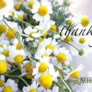 ヒメ日記 2025/04/21 20:42 投稿 原田麗子 五十路マダム　広島店