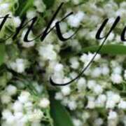 ヒメ日記 2025/04/24 19:38 投稿 原田麗子 五十路マダム　広島店