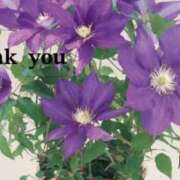 ヒメ日記 2025/05/04 22:10 投稿 原田麗子 五十路マダム　広島店