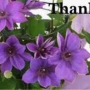 ヒメ日記 2025/05/04 22:26 投稿 原田麗子 五十路マダム　広島店