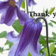 ヒメ日記 2025/05/05 15:22 投稿 原田麗子 五十路マダム　広島店