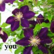 ヒメ日記 2025/05/08 20:38 投稿 原田麗子 五十路マダム　広島店