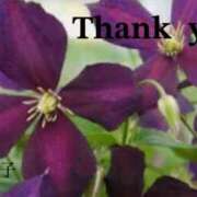 ヒメ日記 2025/05/08 20:58 投稿 原田麗子 五十路マダム　広島店