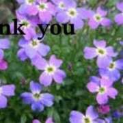 ヒメ日記 2025/05/14 20:46 投稿 原田麗子 五十路マダム　広島店