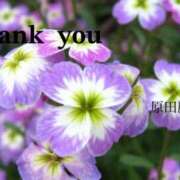 ヒメ日記 2025/05/14 23:20 投稿 原田麗子 五十路マダム　広島店