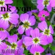 ヒメ日記 2025/05/15 08:12 投稿 原田麗子 五十路マダム　広島店