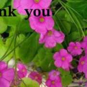 ヒメ日記 2025/05/16 14:56 投稿 原田麗子 五十路マダム　広島店