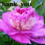 ヒメ日記 2025/05/22 19:18 投稿 原田麗子 五十路マダム　広島店