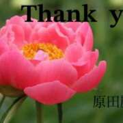 ヒメ日記 2025/05/22 19:44 投稿 原田麗子 五十路マダム　広島店