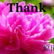 ヒメ日記 2025/05/22 20:00 投稿 原田麗子 五十路マダム　広島店