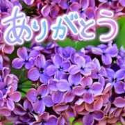 ヒメ日記 2025/06/26 21:22 投稿 原田麗子 五十路マダム　広島店