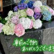 ヒメ日記 2025/07/04 15:12 投稿 原田麗子 五十路マダム　広島店