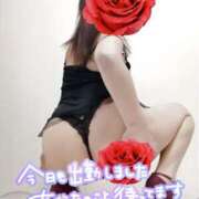 ヒメ日記 2025/07/08 17:56 投稿 原田麗子 五十路マダム　広島店