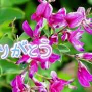 ヒメ日記 2025/07/09 21:42 投稿 原田麗子 五十路マダム　広島店