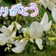 ヒメ日記 2025/07/09 21:52 投稿 原田麗子 五十路マダム　広島店