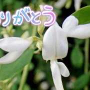 ヒメ日記 2025/07/10 19:20 投稿 原田麗子 五十路マダム　広島店