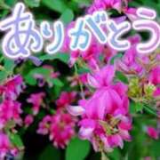 ヒメ日記 2025/07/10 20:20 投稿 原田麗子 五十路マダム　広島店