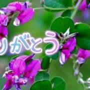 ヒメ日記 2025/07/14 19:02 投稿 原田麗子 五十路マダム　広島店