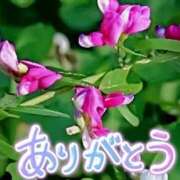 ヒメ日記 2025/07/14 19:26 投稿 原田麗子 五十路マダム　広島店