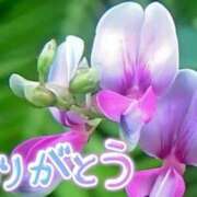 ヒメ日記 2025/07/14 19:36 投稿 原田麗子 五十路マダム　広島店