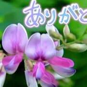 ヒメ日記 2025/07/14 19:56 投稿 原田麗子 五十路マダム　広島店