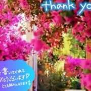 ヒメ日記 2025/08/29 18:02 投稿 原田麗子 五十路マダム　広島店