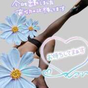 ヒメ日記 2025/09/02 21:08 投稿 原田麗子 五十路マダム　広島店