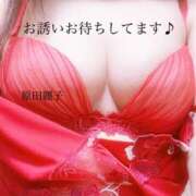 ヒメ日記 2026/02/10 14:40 投稿 原田麗子 五十路マダム　広島店