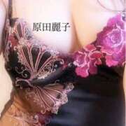 ヒメ日記 2026/02/12 16:04 投稿 原田麗子 五十路マダム　広島店