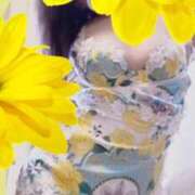 ヒメ日記 2026/02/15 14:24 投稿 原田麗子 五十路マダム　広島店