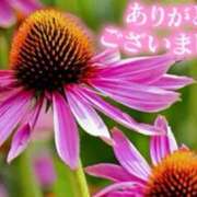 原田麗子 仲良しけ〇〇様 五十路マダム　広島店
