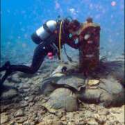 ヒメ日記 2024/12/31 19:45 投稿 和久井 りな HANA-okinawa-