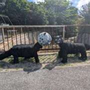 ヒメ日記 2025/05/17 23:42 投稿 和久井 りな HANA-okinawa-