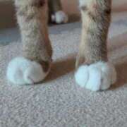 ヒメ日記 2025/11/30 06:48 投稿 和久井 りな HANA-okinawa-