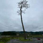 ヒメ日記 2026/03/11 15:12 投稿 和久井 りな HANA-okinawa-