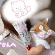 ヒメ日記 2026/07/28 13:36 投稿 和久井 りな HANA-okinawa-