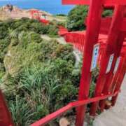 ヒメ日記 2026/09/15 12:43 投稿 和久井 りな HANA-okinawa-
