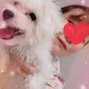 ヒメ日記 2025/04/17 19:16 投稿 七瀬はる 月の真珠-五反田-