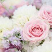 ヒメ日記 2025/04/29 21:36 投稿 七瀬はる 月の真珠-五反田-