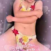 ヒメ日記 2025/06/17 17:46 投稿 七瀬はる 月の真珠-五反田-