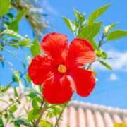 ヒメ日記 2025/06/20 22:06 投稿 七瀬はる 月の真珠-五反田-