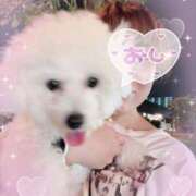 ヒメ日記 2025/07/13 13:26 投稿 七瀬はる 月の真珠-五反田-