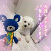 ヒメ日記 2025/07/31 14:56 投稿 七瀬はる 月の真珠-五反田-