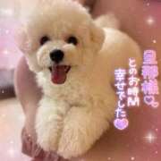 ヒメ日記 2025/10/02 21:20 投稿 七瀬はる 月の真珠-五反田-