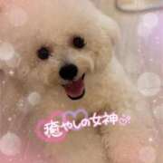 ヒメ日記 2025/10/12 22:33 投稿 七瀬はる 月の真珠-五反田-