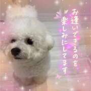 ヒメ日記 2025/10/13 20:20 投稿 七瀬はる 月の真珠-五反田-